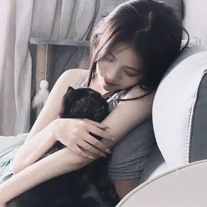 碧眼花豹海报